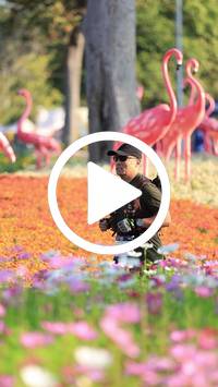 BIB:  <button type="button" onclick="openModal(27583459)" class="btn btn-primary btn-sm float-right" data-toggle="modal" data-target=".modal-high-quality">
                <i class="fa fa-download"></i> Download
                </button>